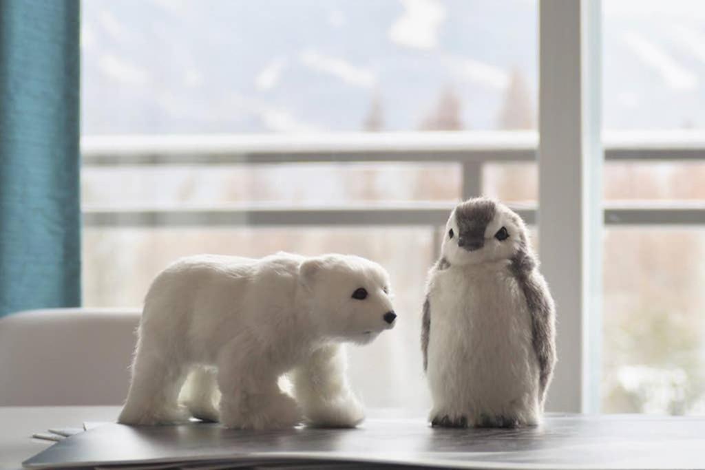 Initial - Forest Friends - Mont-Sainte-Anne โบเพร ภายนอก รูปภาพ